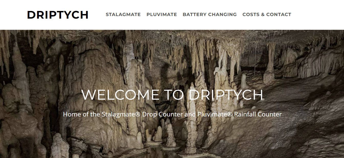Driptych website